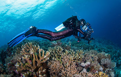 Coral Reef Diving Locations You’ll Want On Your Bucket List