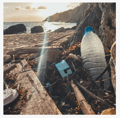 40 Facts You Need To Read - Caring For Our Oceans