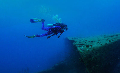 Best Time of Year to Dive in the Galapagos