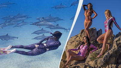 Our Designs and the Underwater Animals We Love
