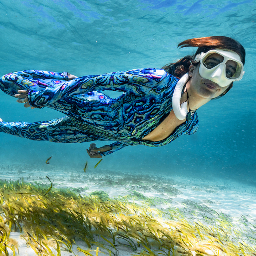 Abalone – Slipins Swimwear